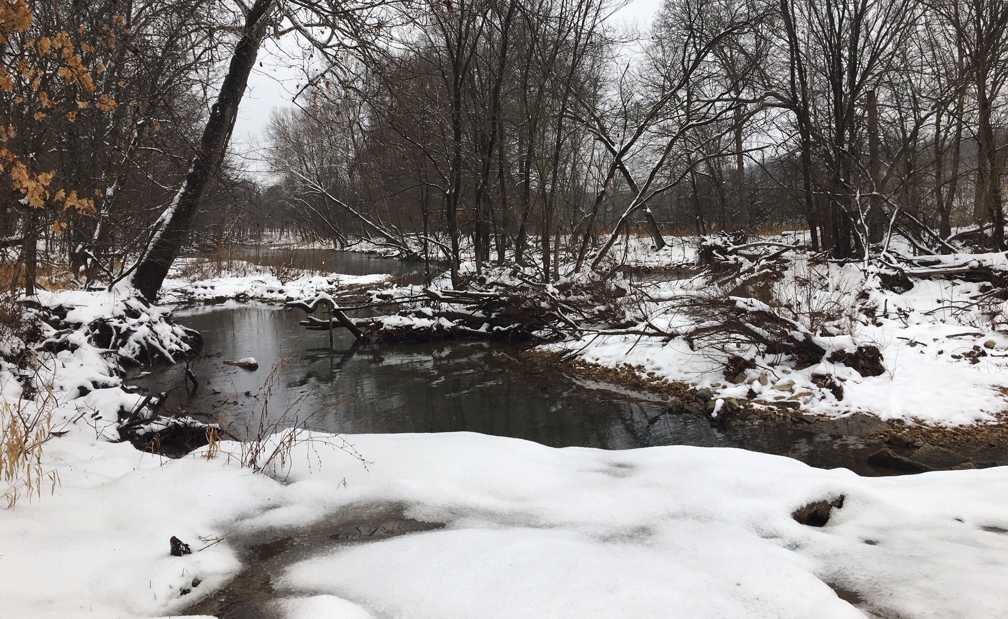 Winter Fishing