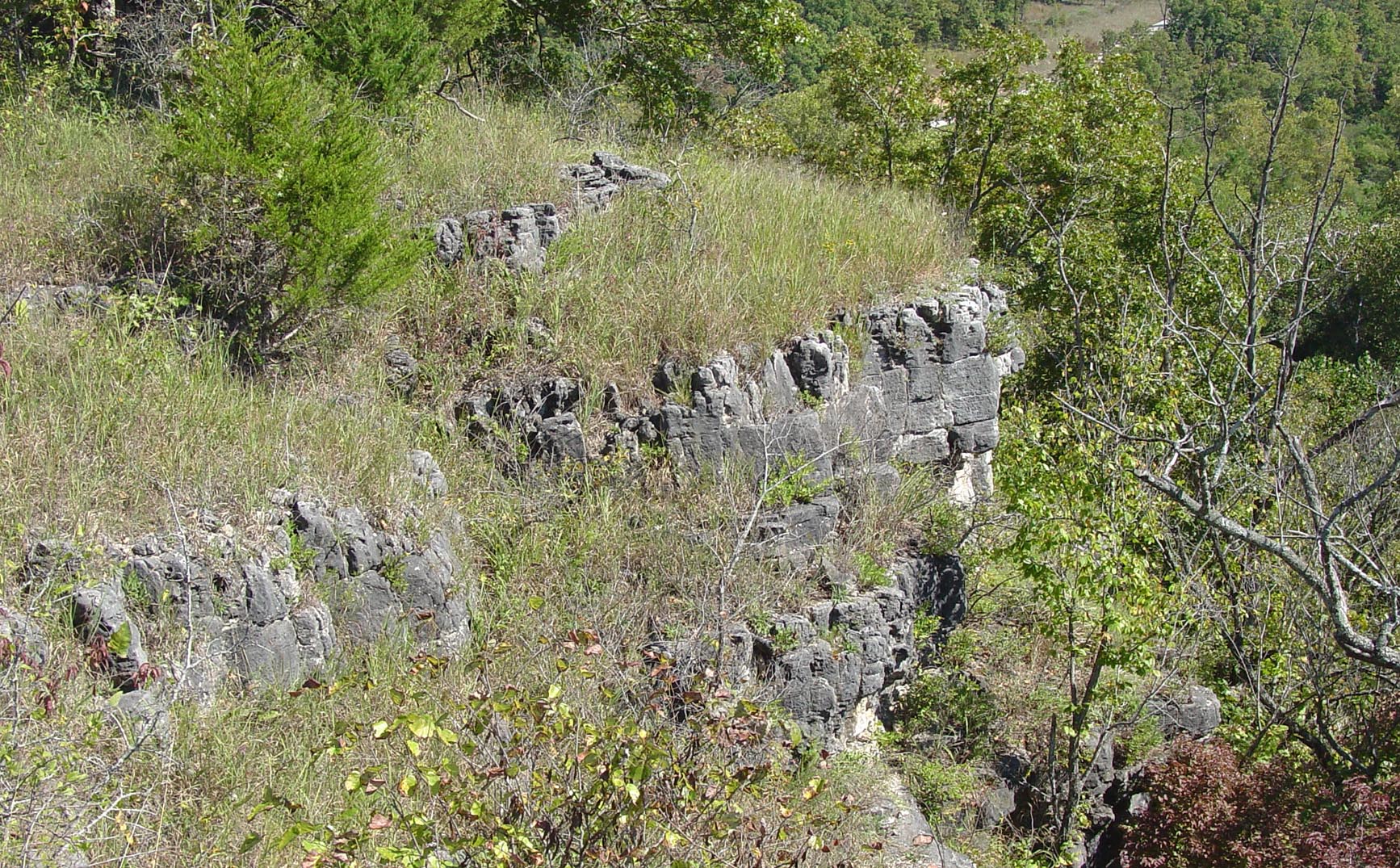 Lead Mine Conservation Area