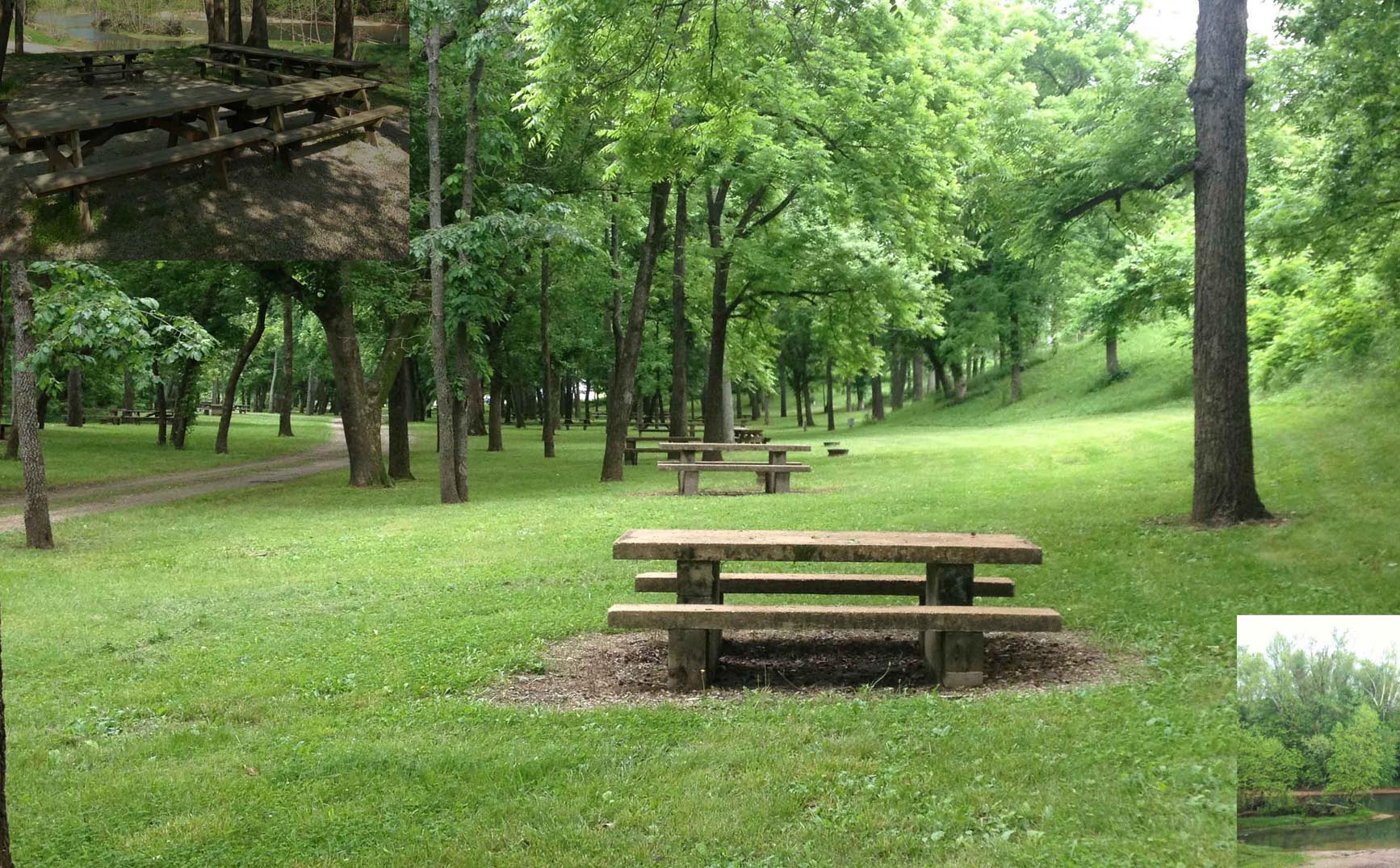 Niangua River Camping Maggards