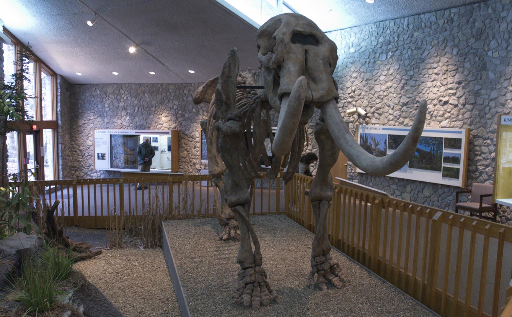 Mastodon State Historic Site