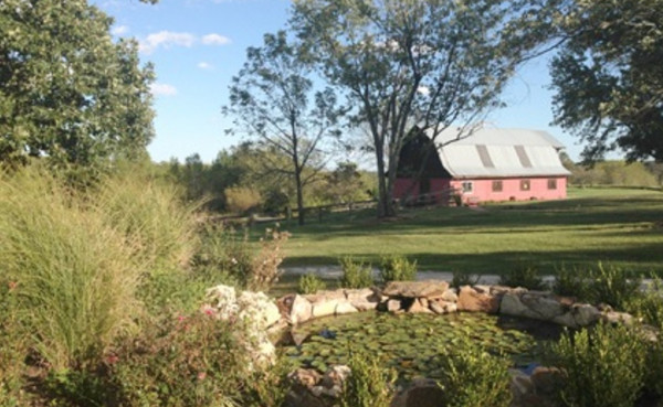 Wild Sun Winery & Brewery