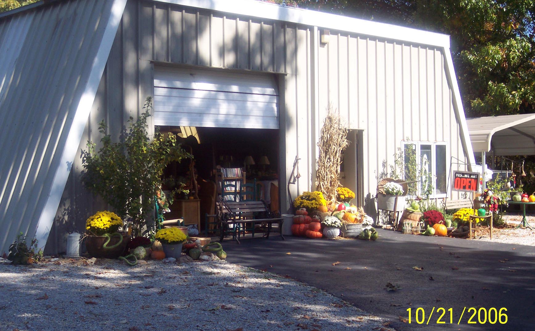 Mom's Memories and Mary's Bookshop in Autumn