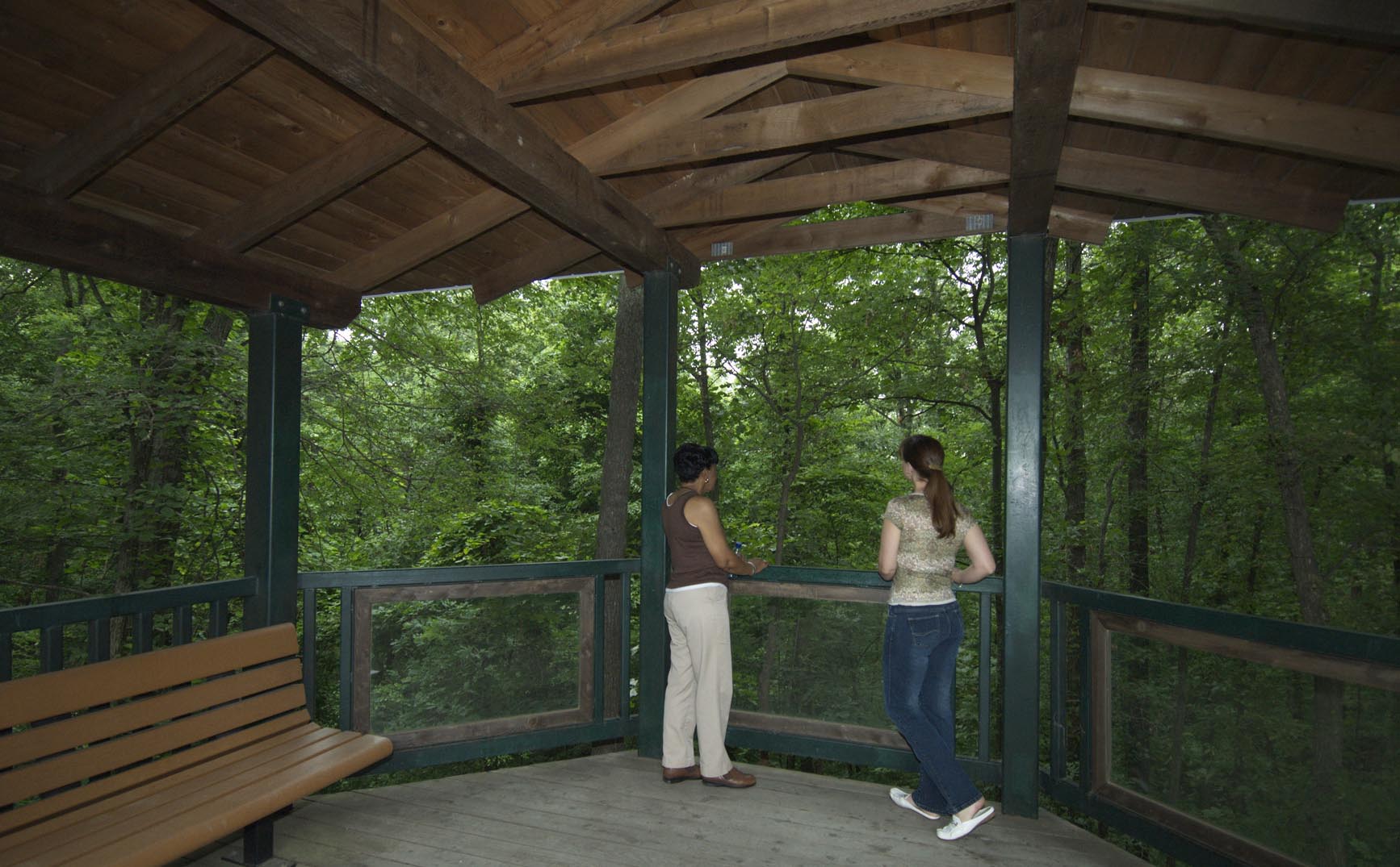 Morris State Park Overlook