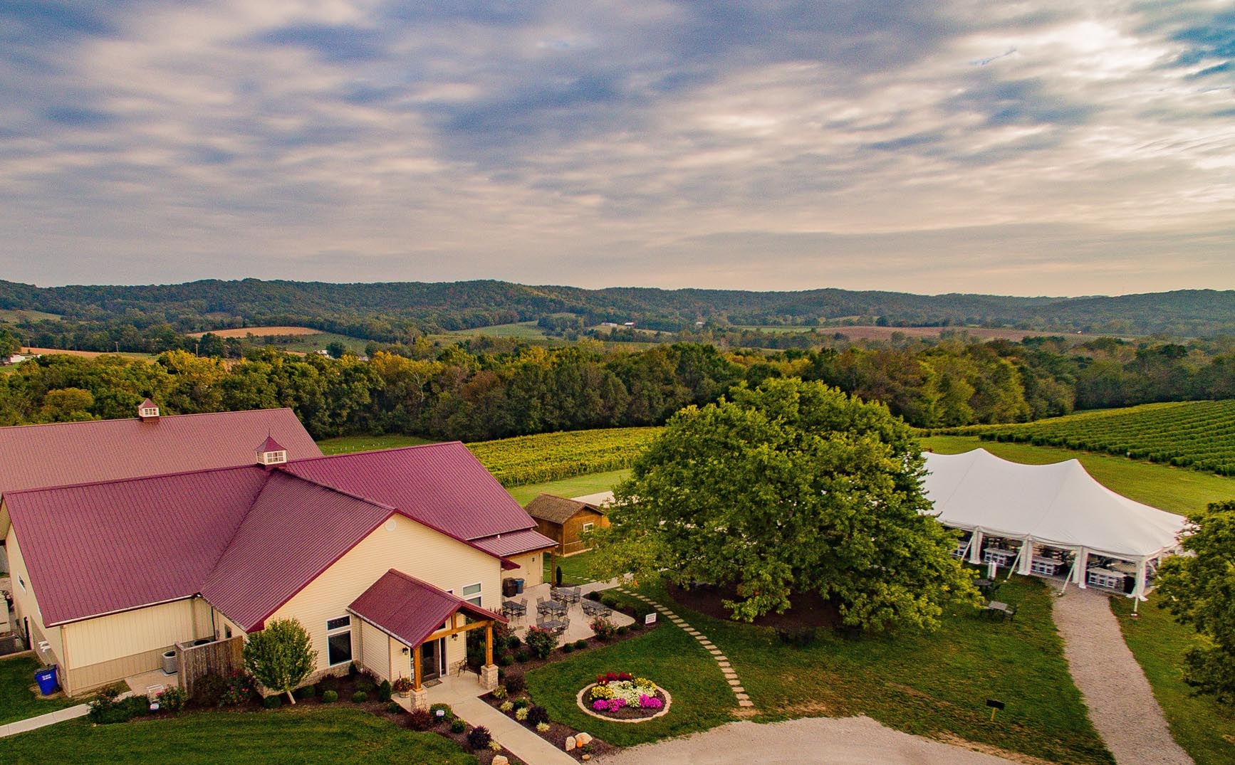 Noboleis Vineyards