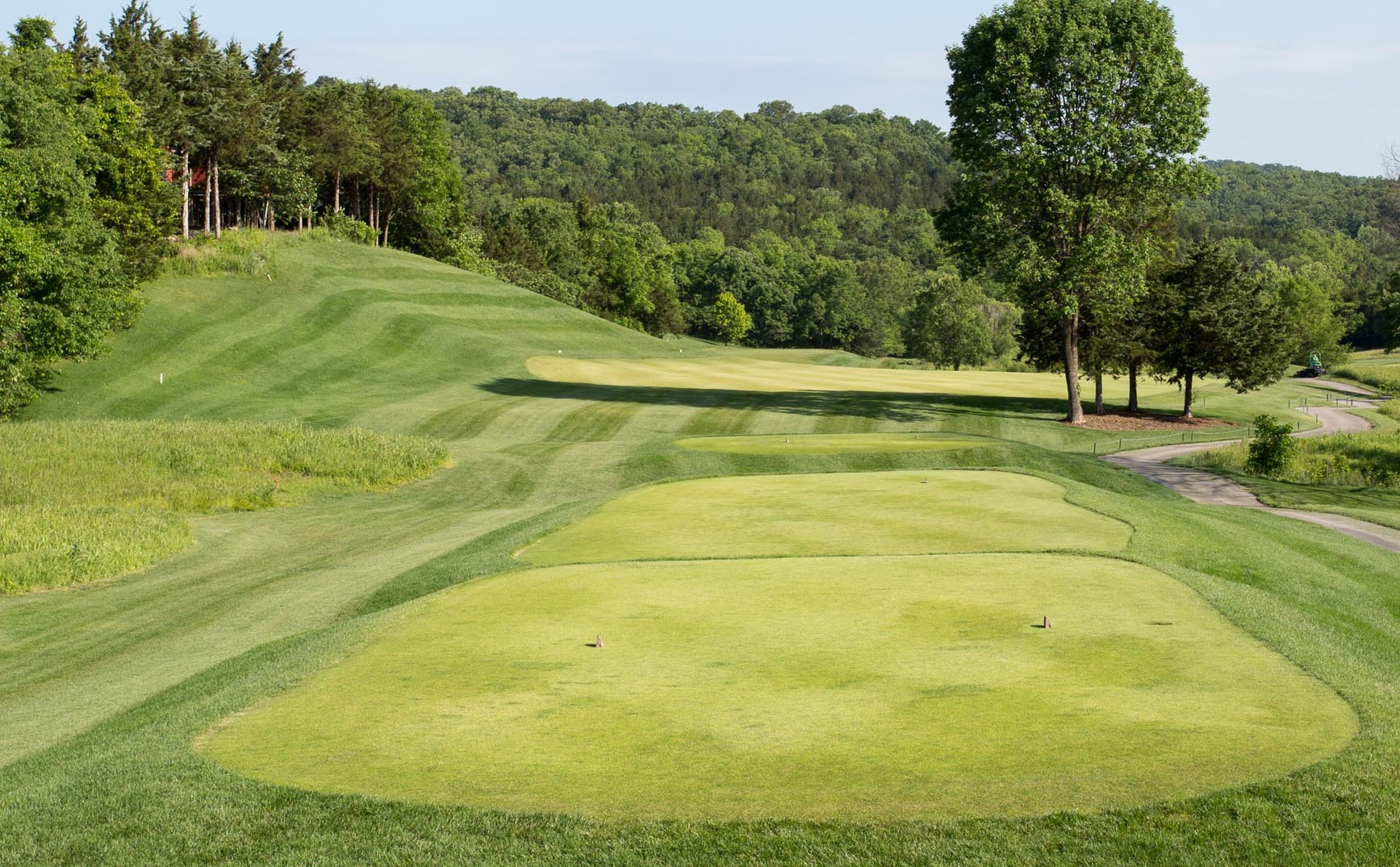 #5 Hole