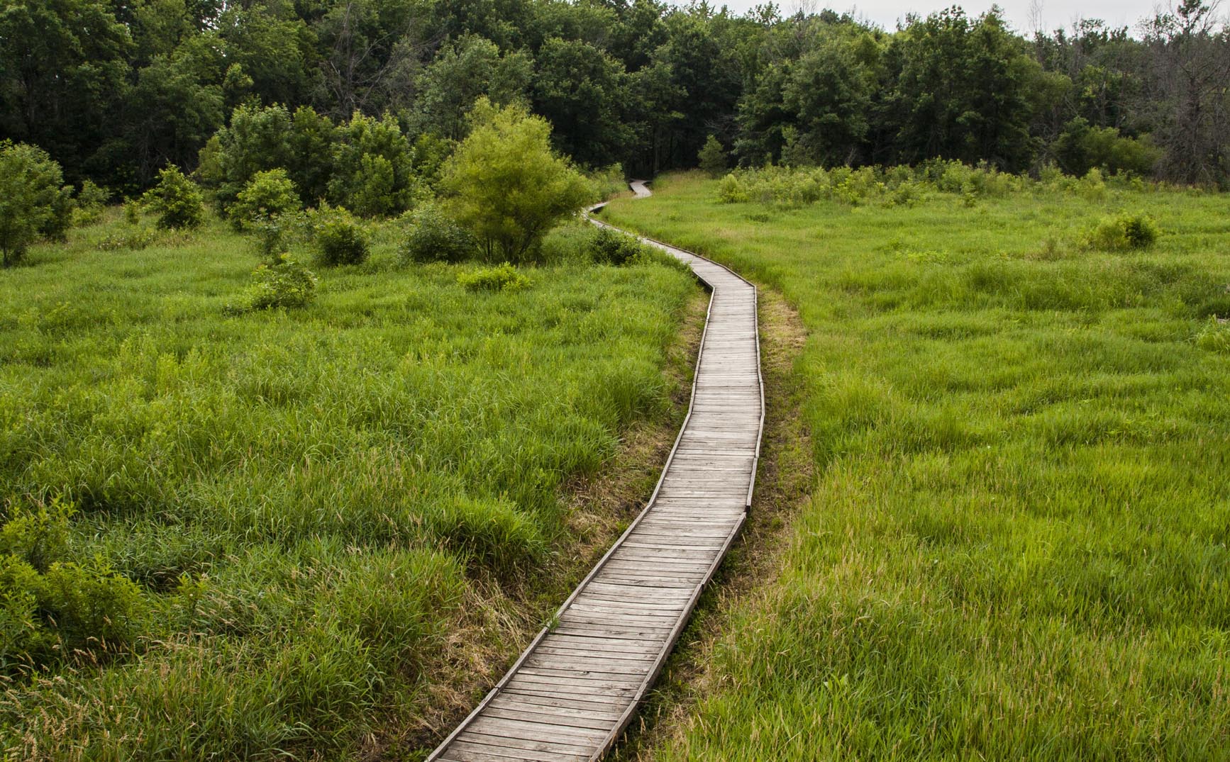 Pershing State Park