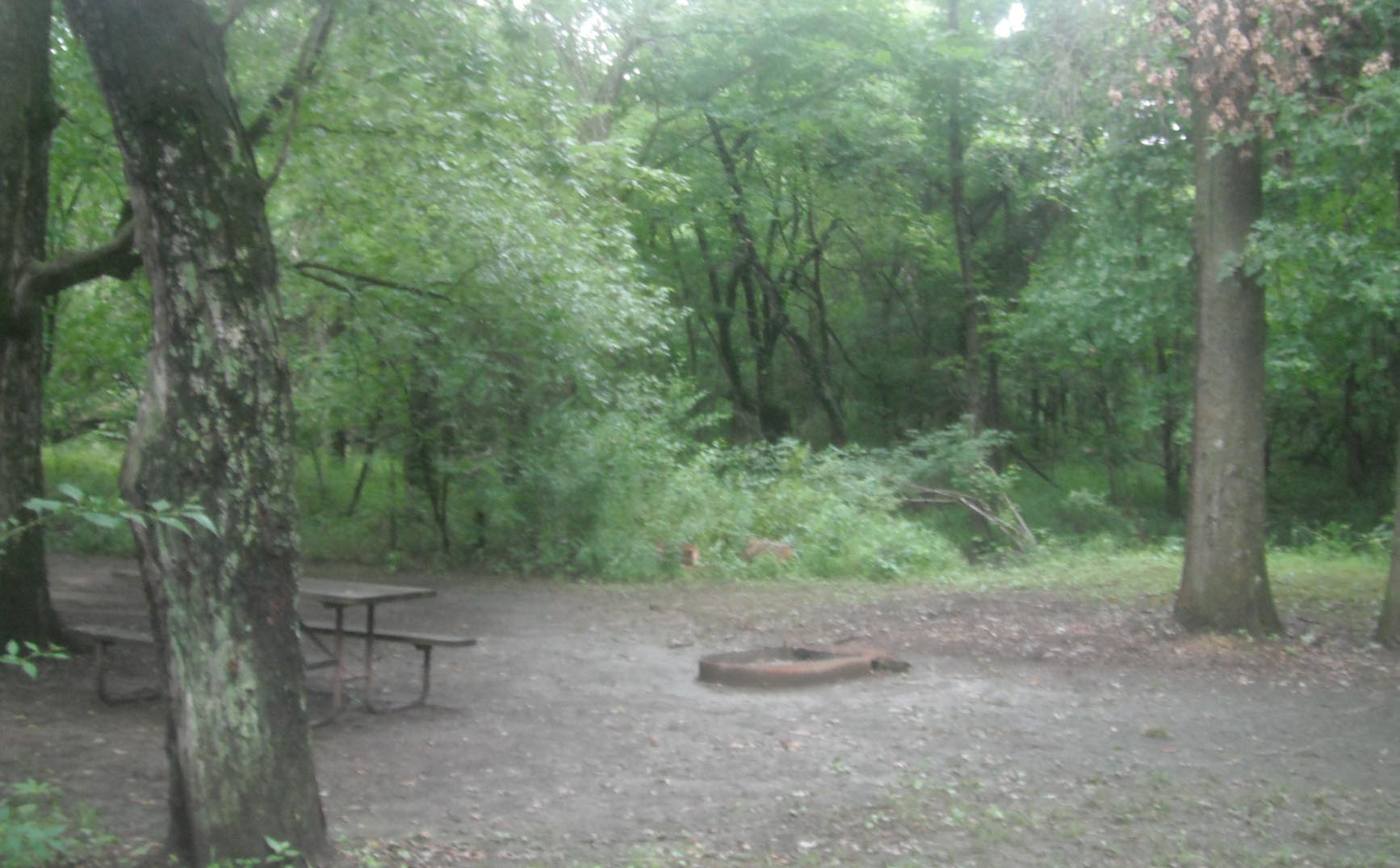 Prairie State Park Camping