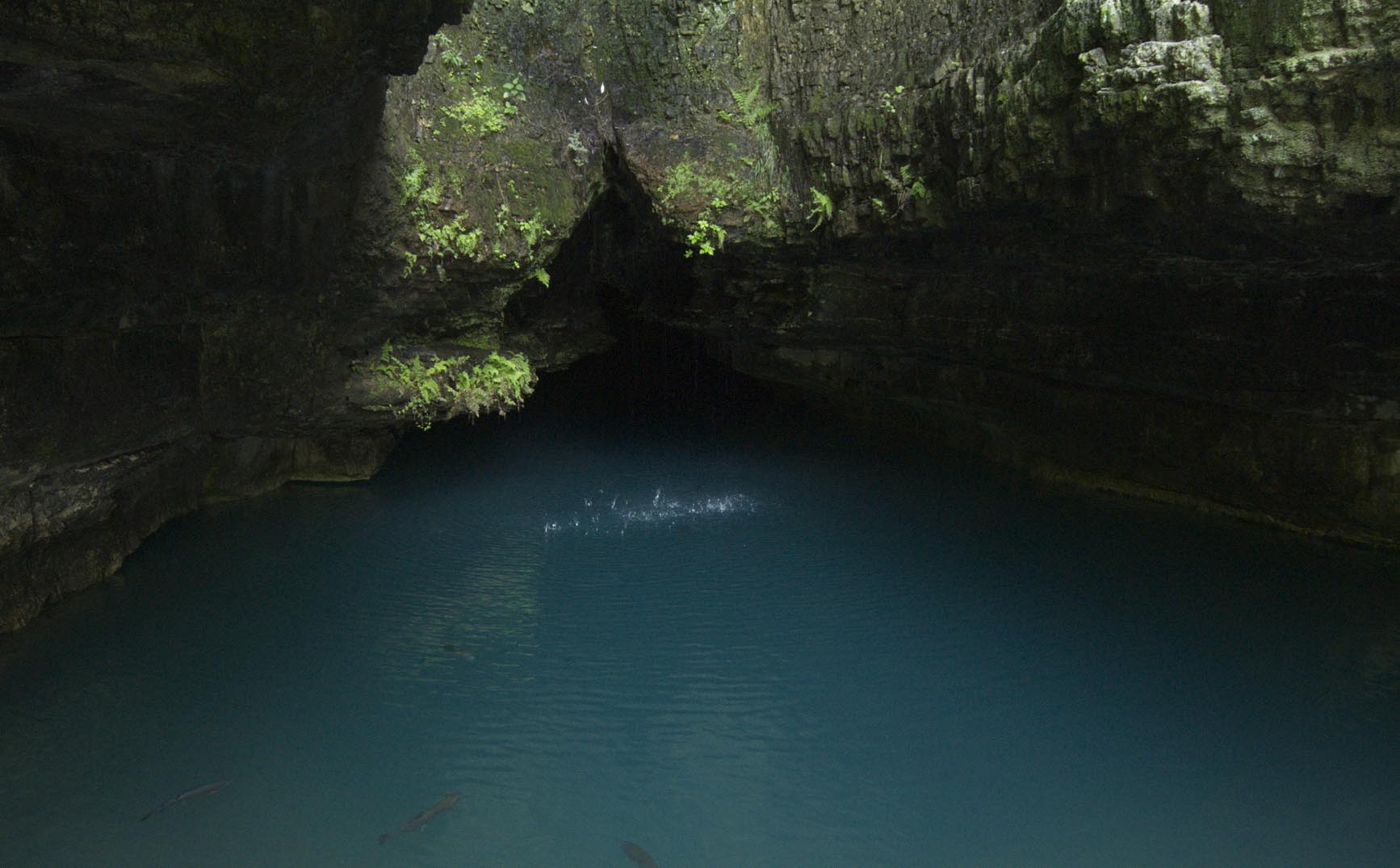 Roaring River Spring
