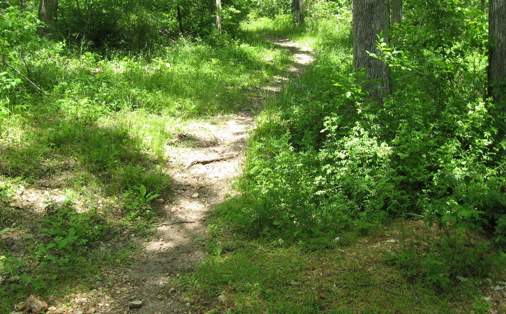 Robert E. Talbot Conservation ARea