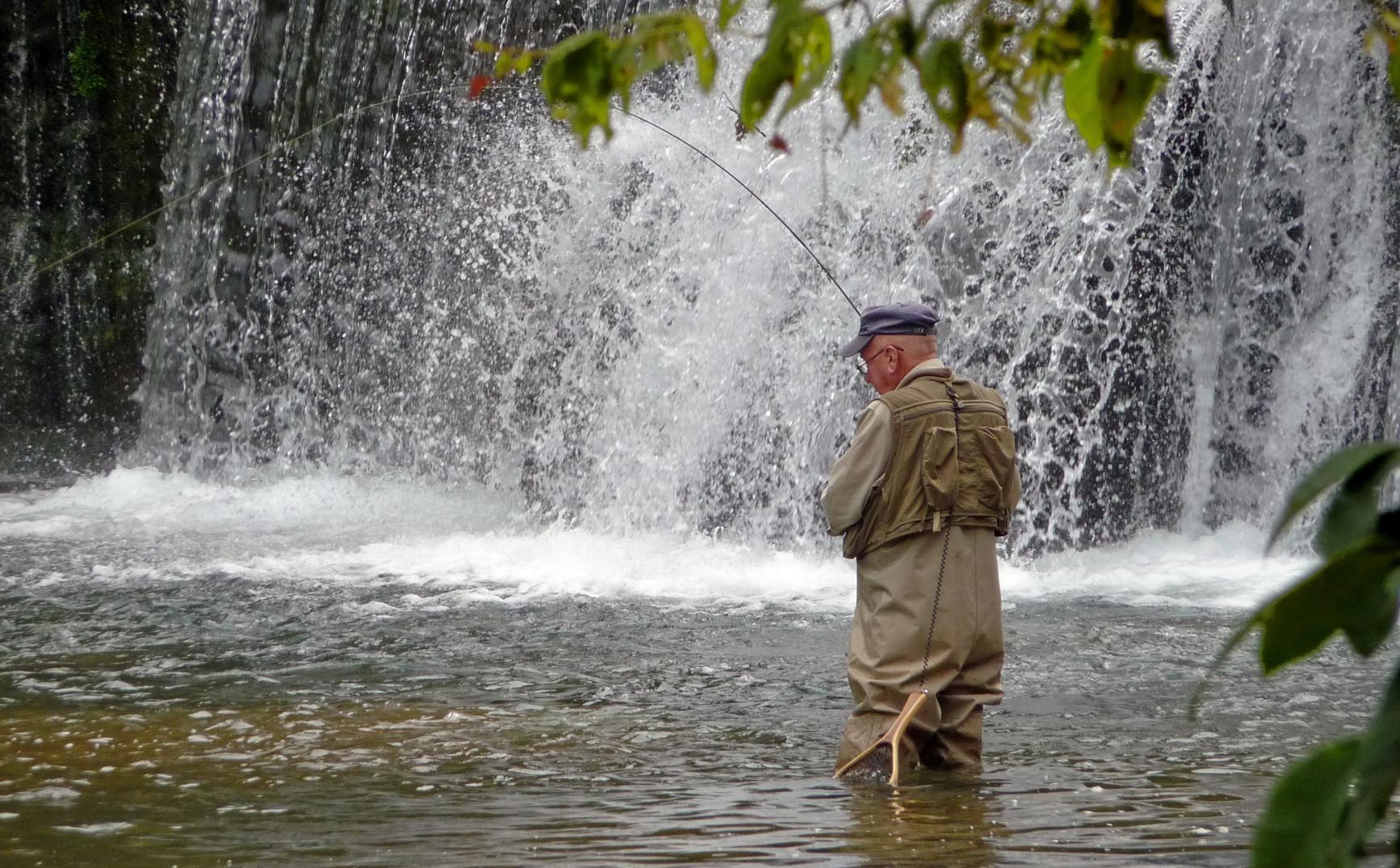 Rockbridge Trout Fishing