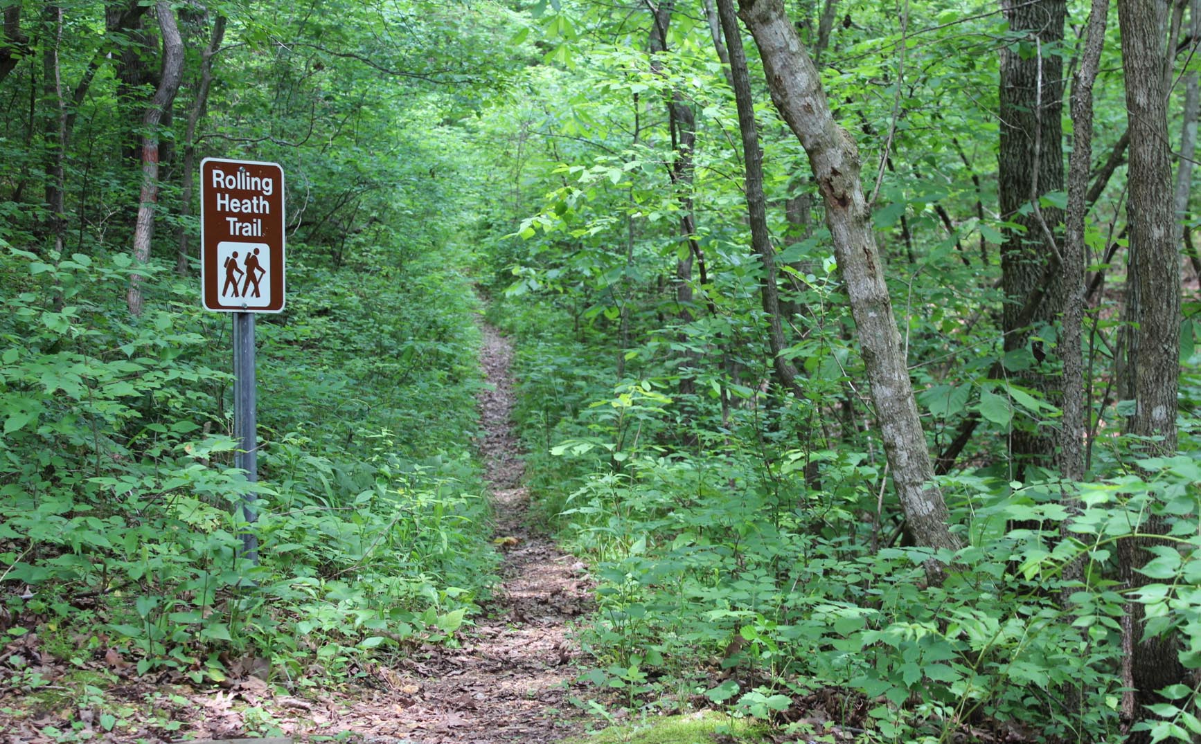 Rolling Heath Trail
