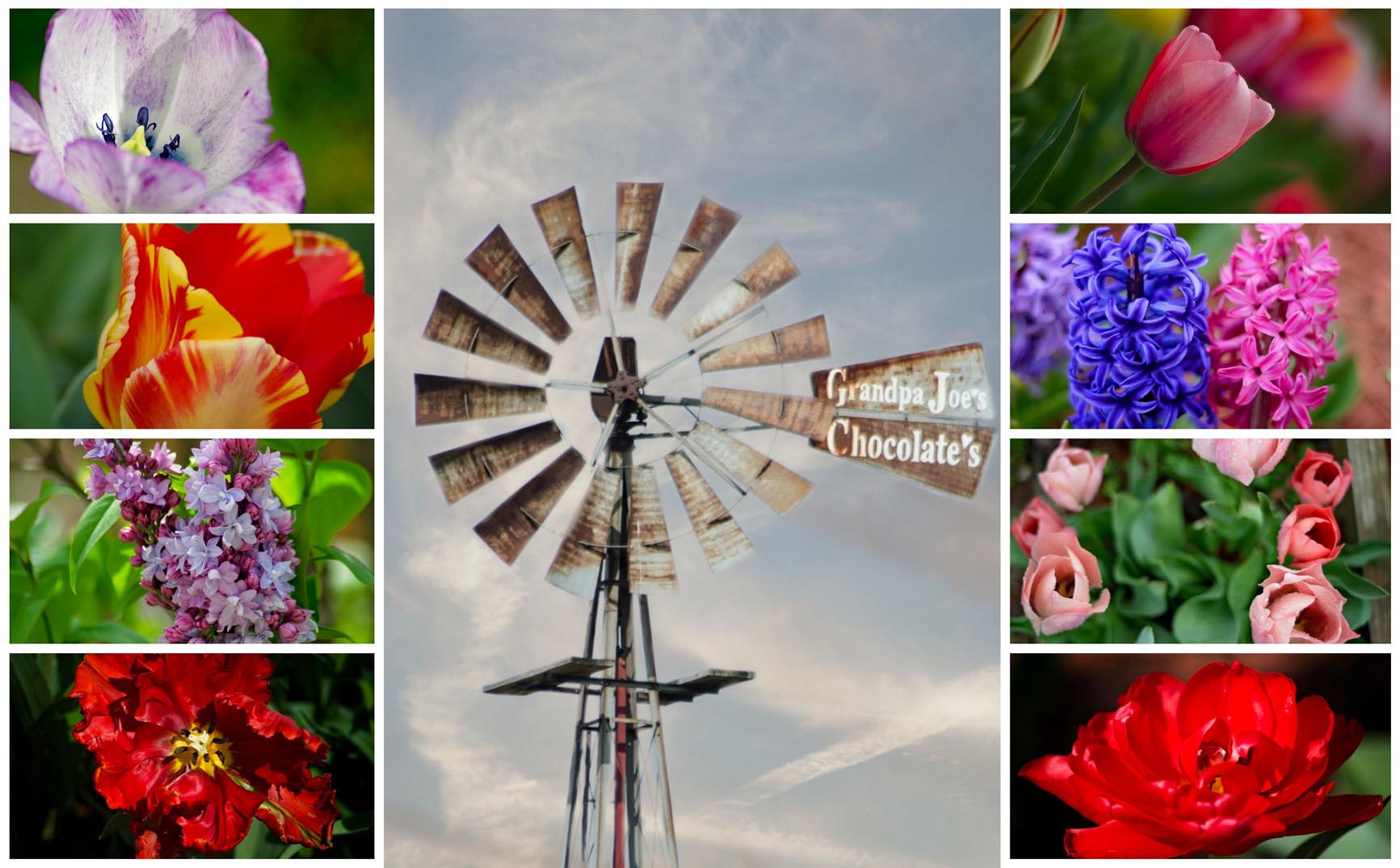 Rosewood Farms