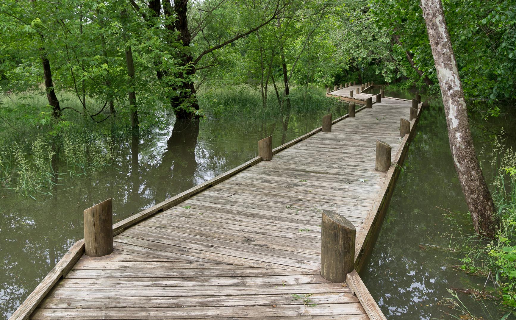 Springfield Conservation Nature Center Trail
