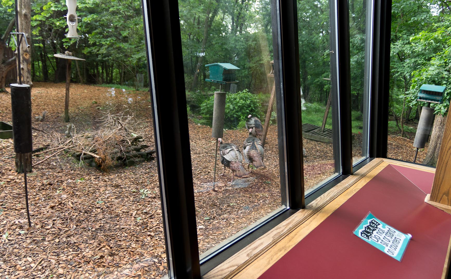 Springfield Conservation Nature Center Wildlife Viewing