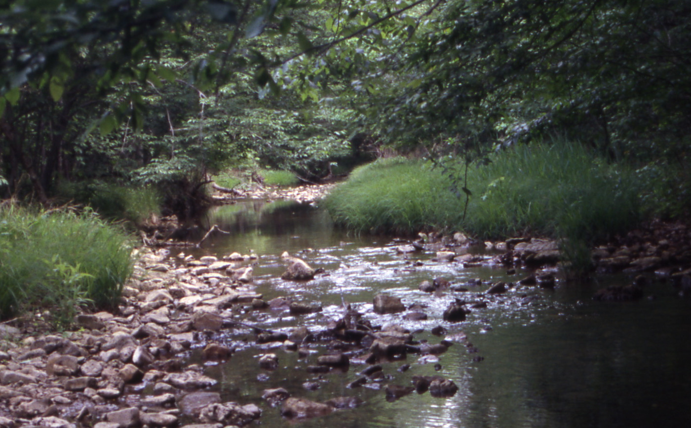 St. Francois State Park