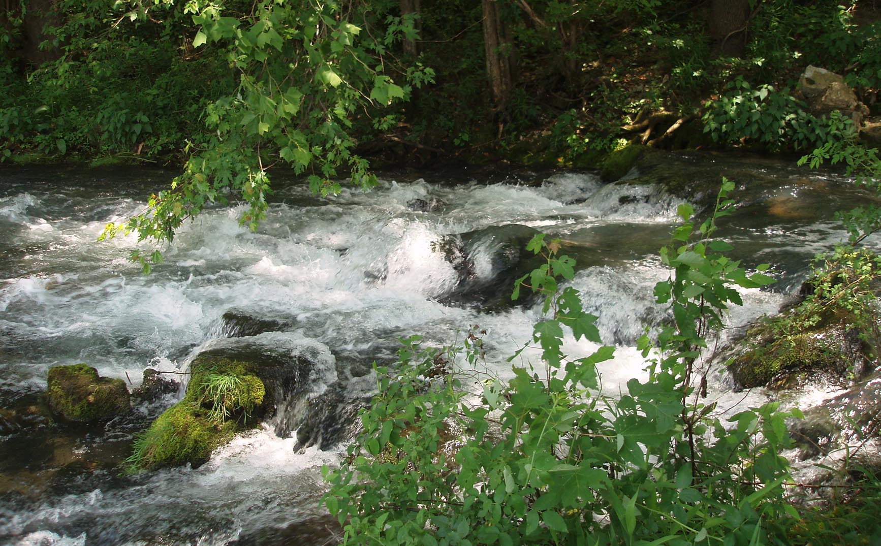Stone Mill Spring