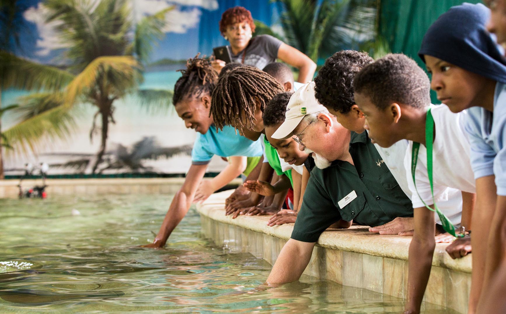 Stingrays at Caribbean Cove