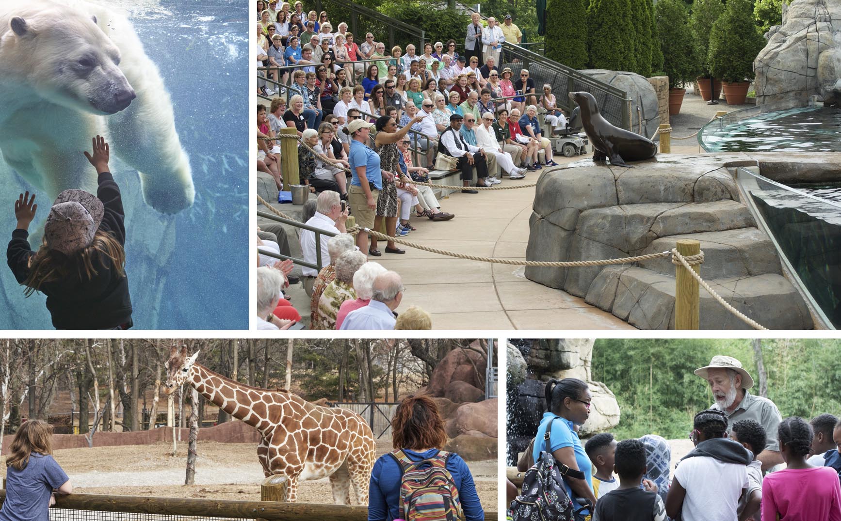 Saint Louis Zoo