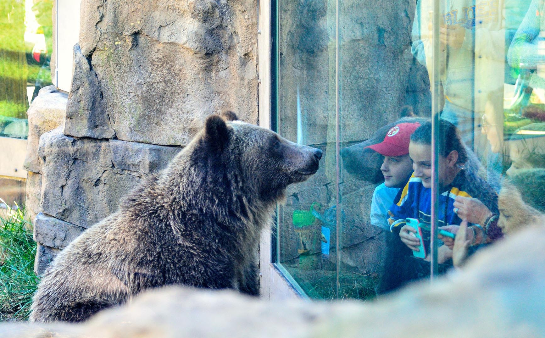 Grizzly Ridge