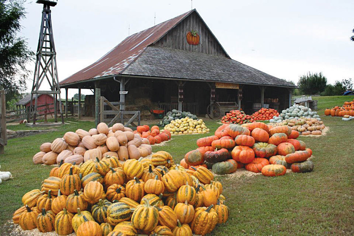 Weston Red Barn Farm