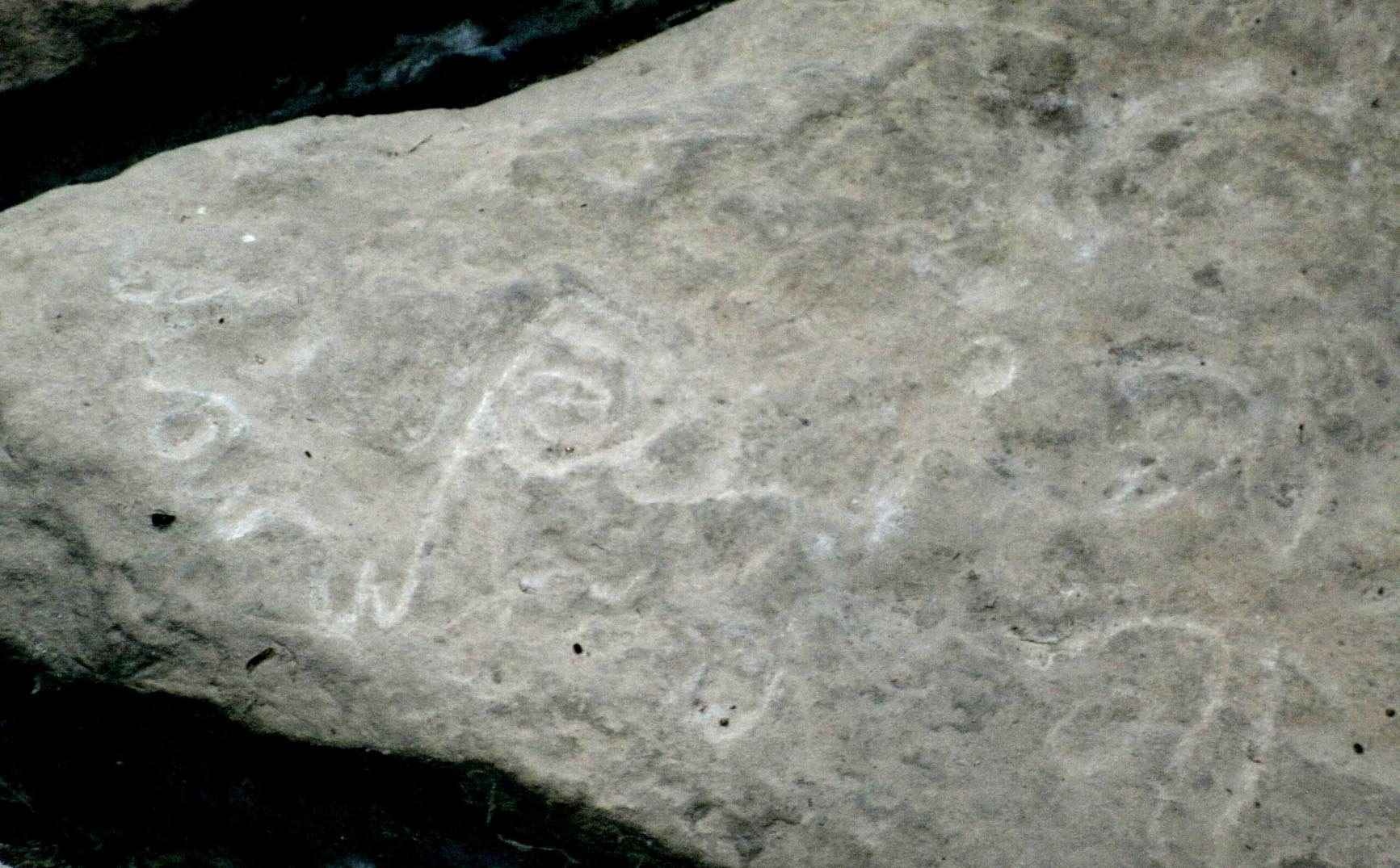 Thousand Hlls State Park Petroglyphs
