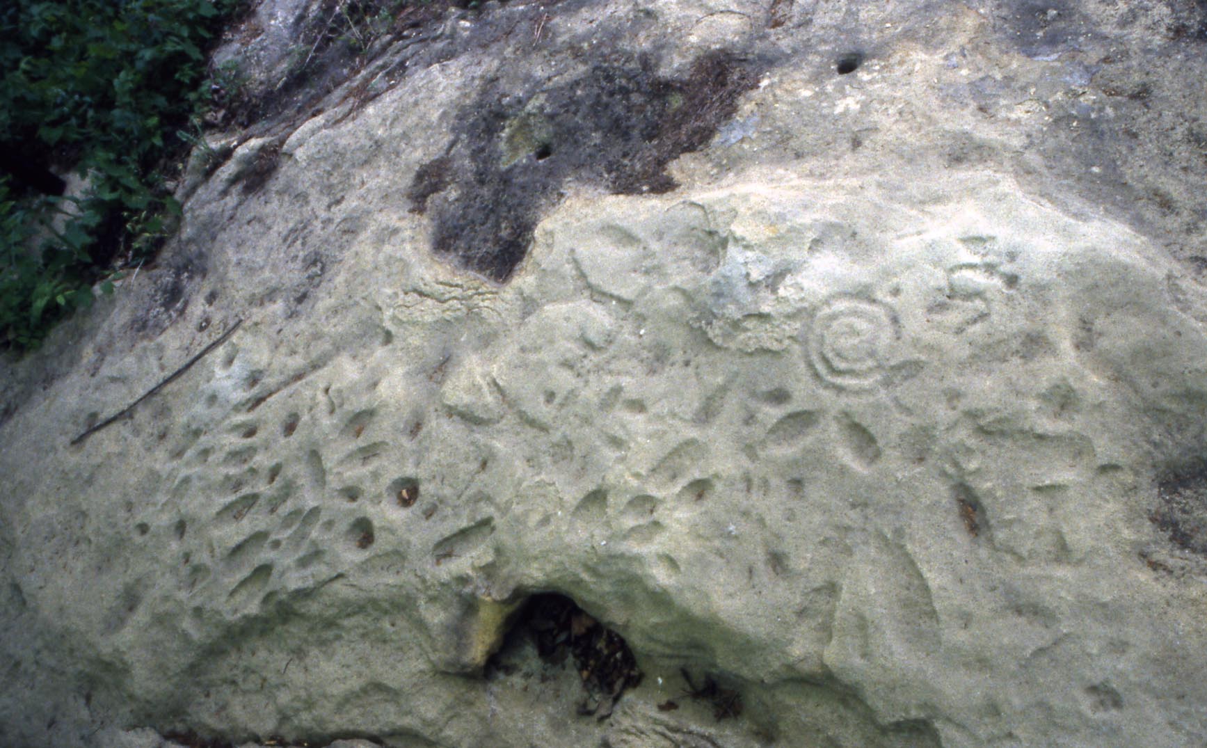 Washington State Park Petroglyphs