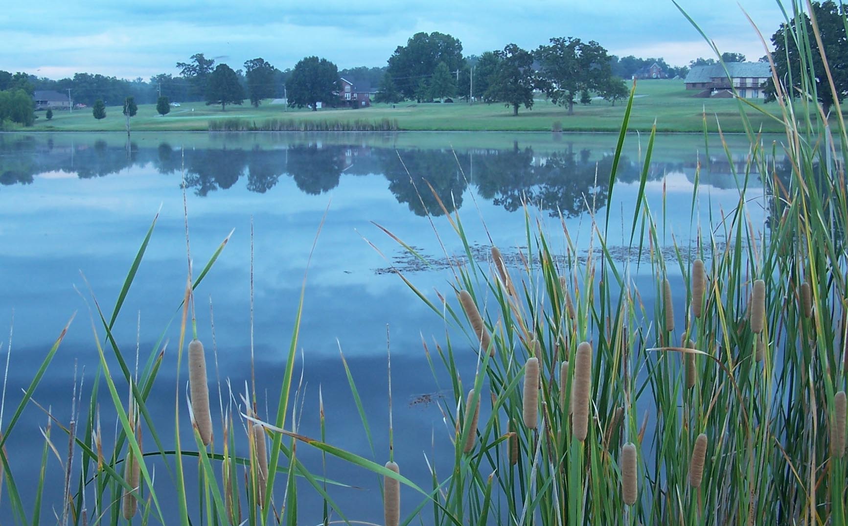 West Plains Municipal