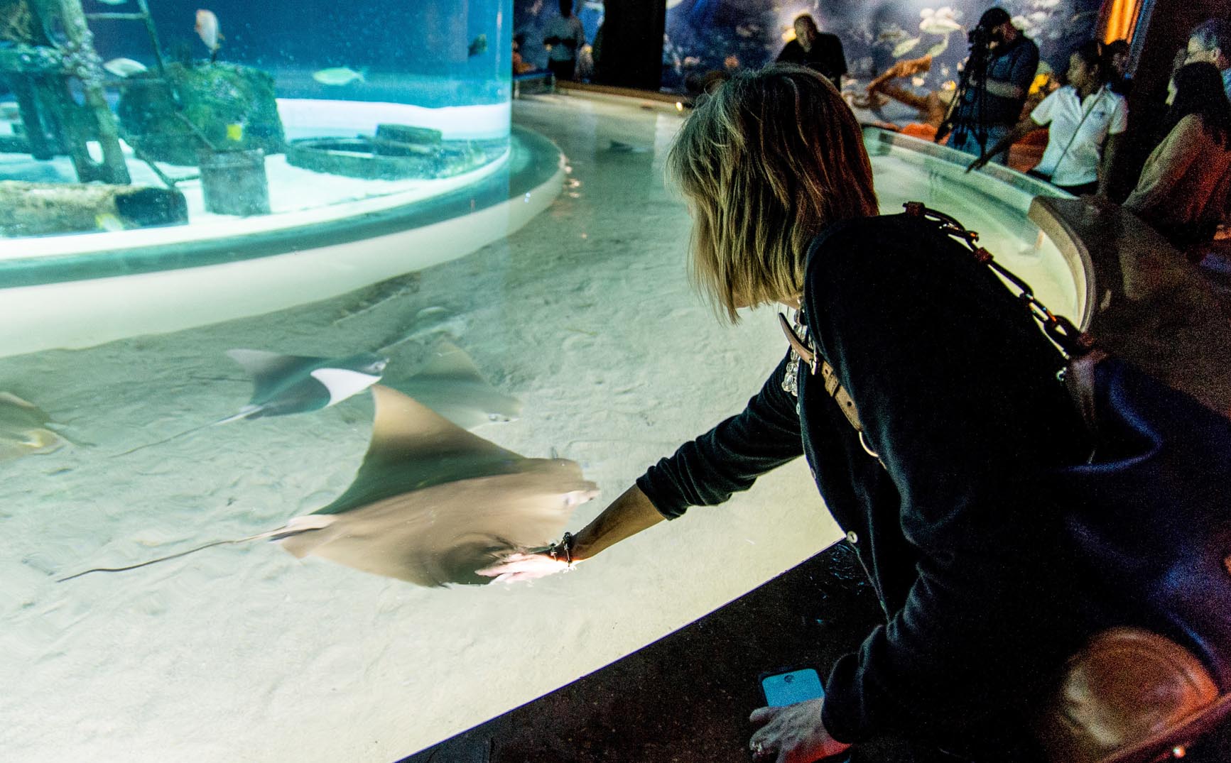 Wonders of Wildlife-Petting Pool
