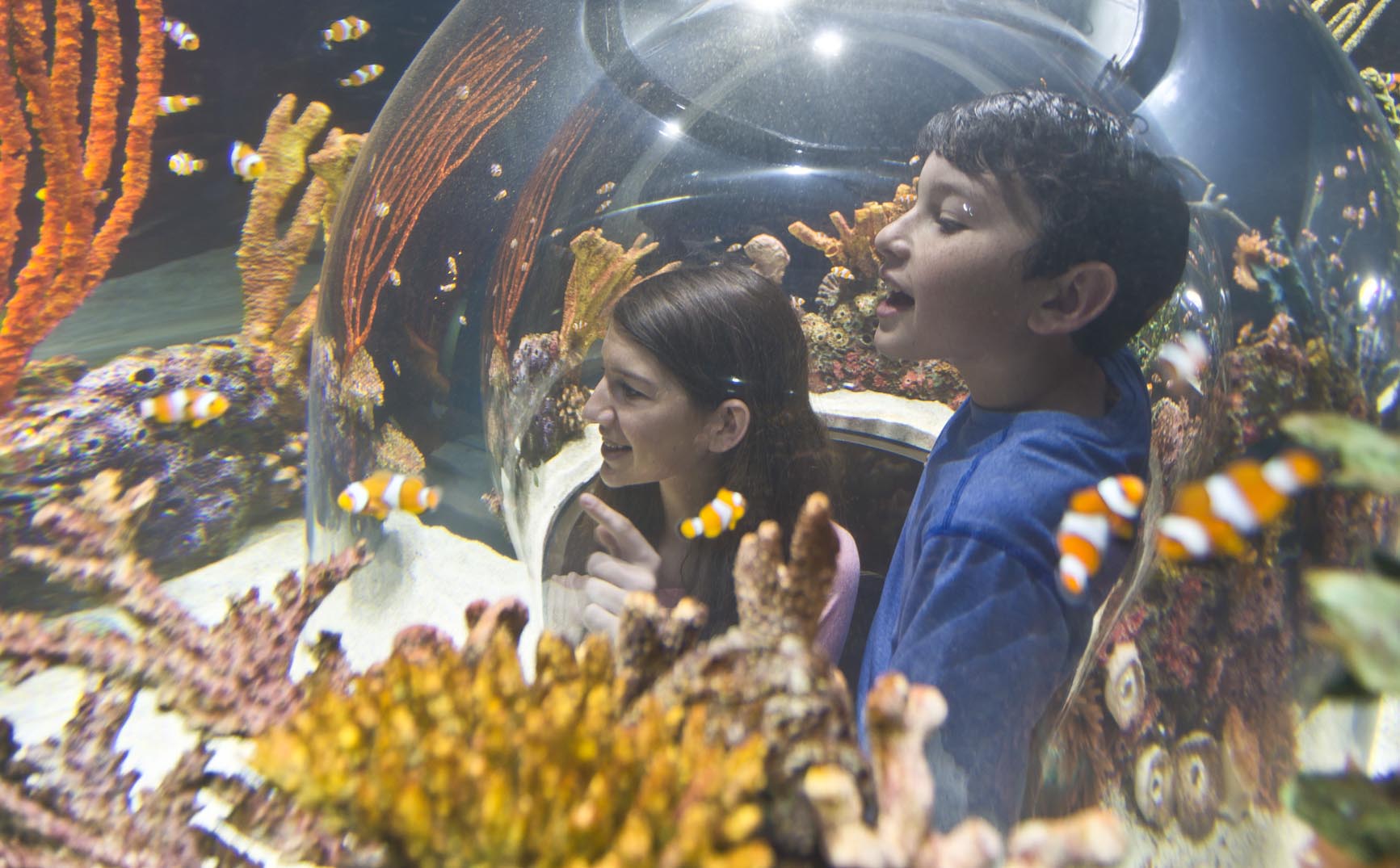 WOW-Kids in Bubble Aquarium