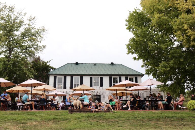 People sit on a patio at tables, eating and drinking. The business sits in the background and it is a white house with a green roof.