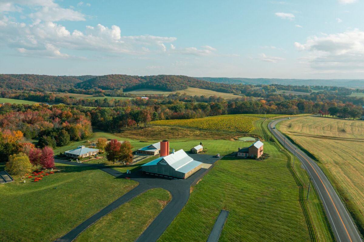 An aerial view shows Balducci Vineyards. Surrounding the buildings and vineyard are expansive green fields and rolling hills covered with trees. The trees' leaves show shades of green, orange and red. The sky is light blue with clouds spread throughout.