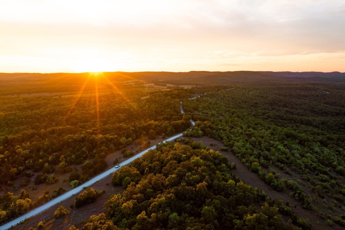 A winding road cuts through a vast forest as the sun sets on the horizon.
