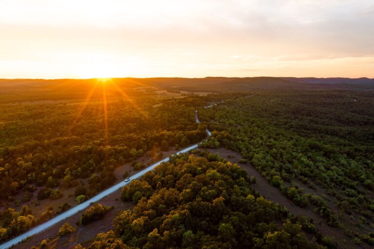 A winding road cuts through a vast forest as the sun sets on the horizon.