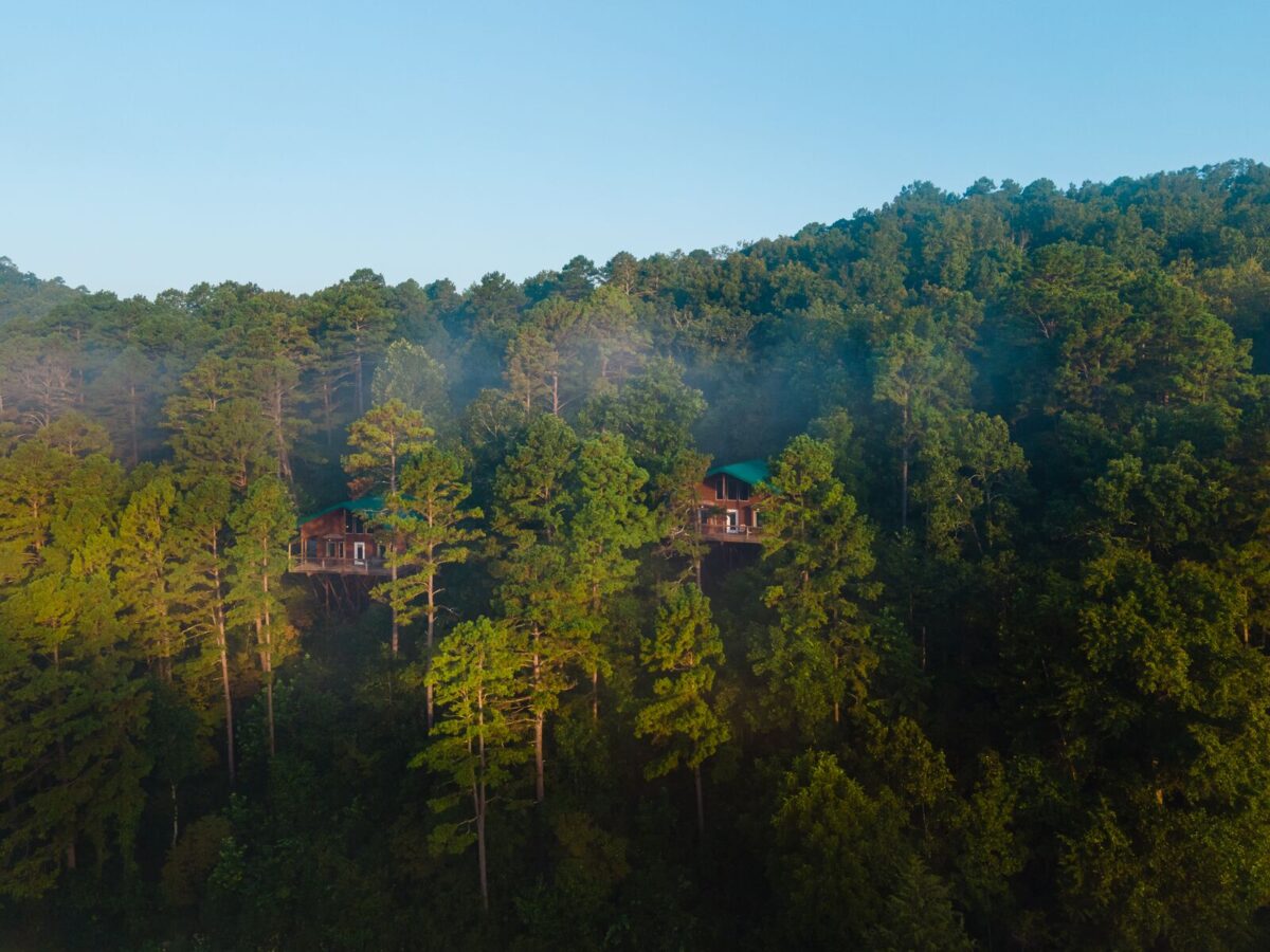 Aerial view of two cozy cabins nestled in the forest at River of Life Farm. The romantic getaway is surrounded by tall pine trees bathed in the golden light of sunrise or sunset.