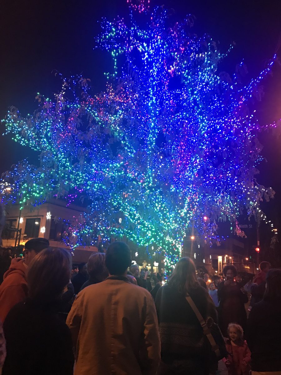 People gathered around a lit holiday tree.