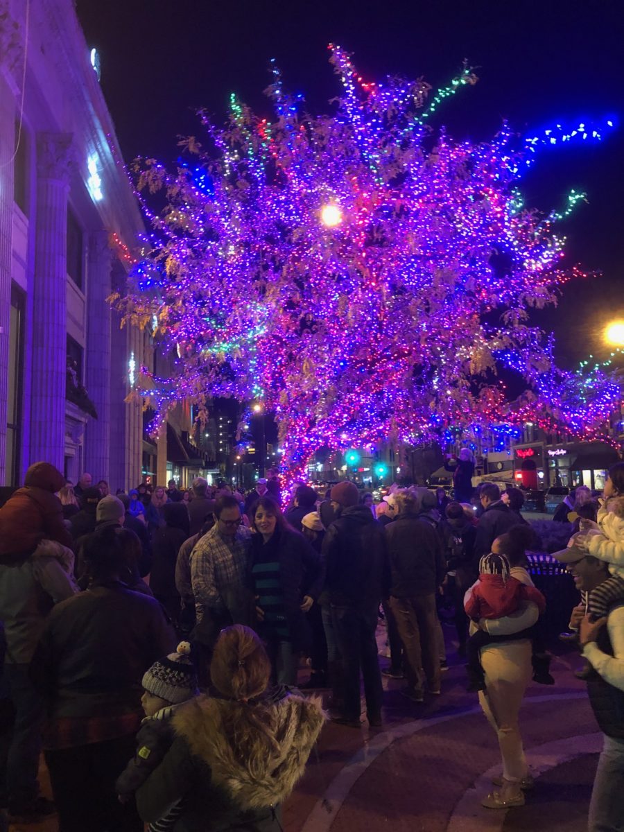 People gathered around a lit holiday tree.