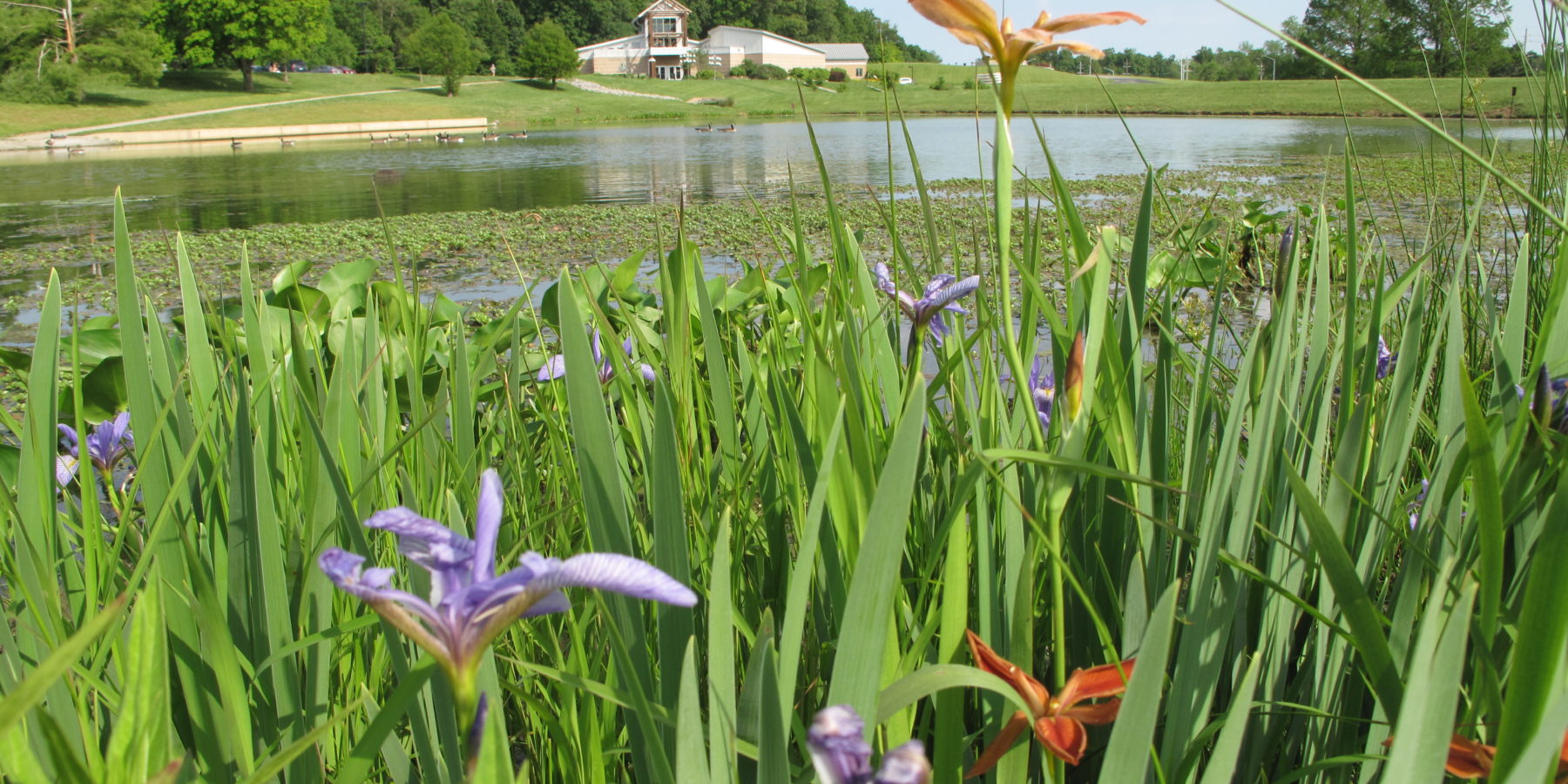 A Weekend Getaway to Cape Girardeau - Itineraries - Visit Missouri