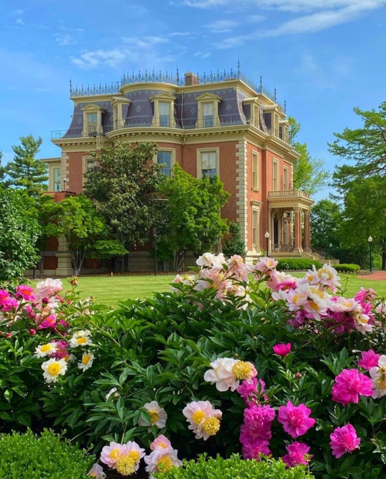 Flowers in the foreground of a photo of the Missouri Governor's Mansion.