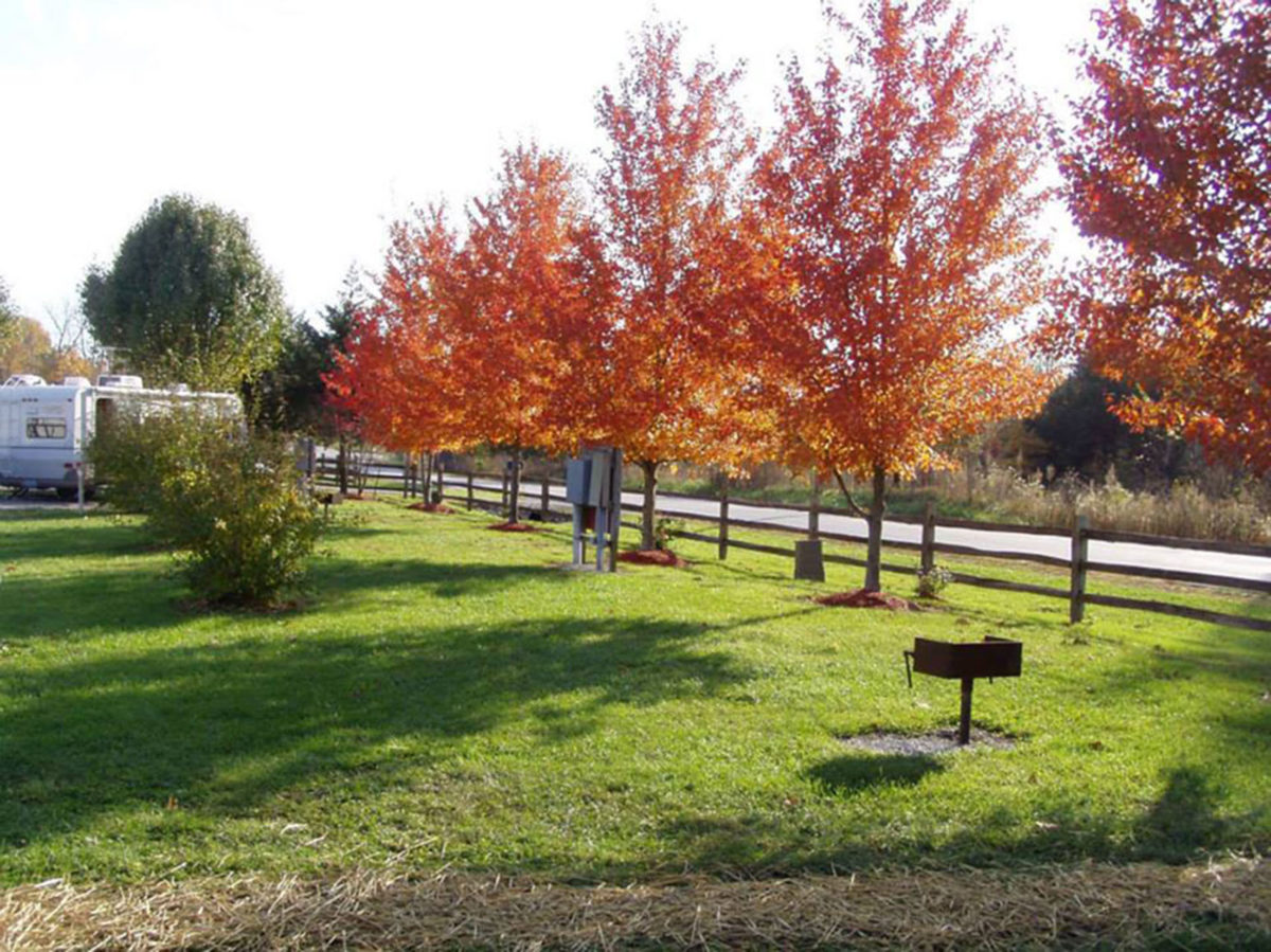A view of an RV park in the autumn.