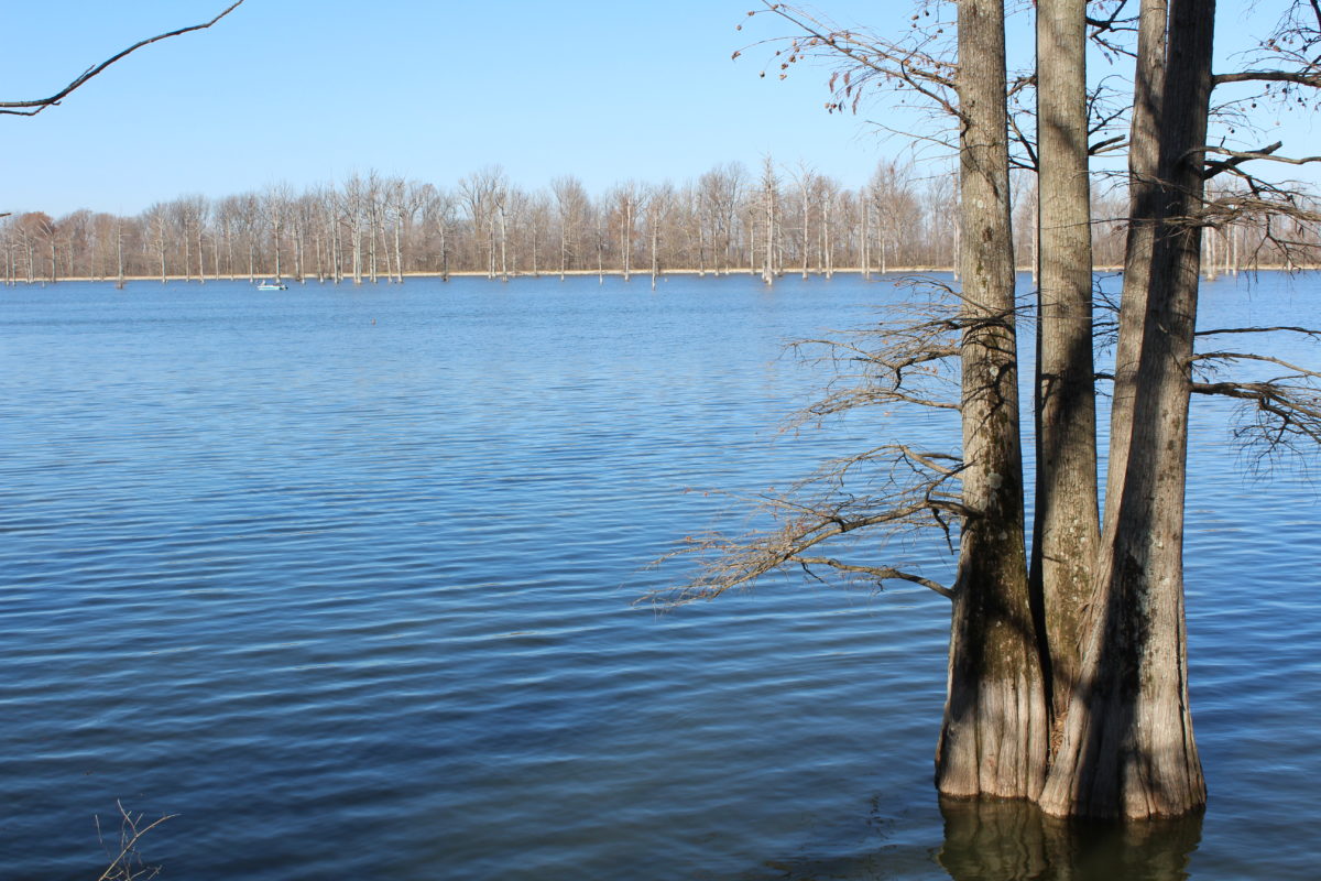 Delaney Lake
