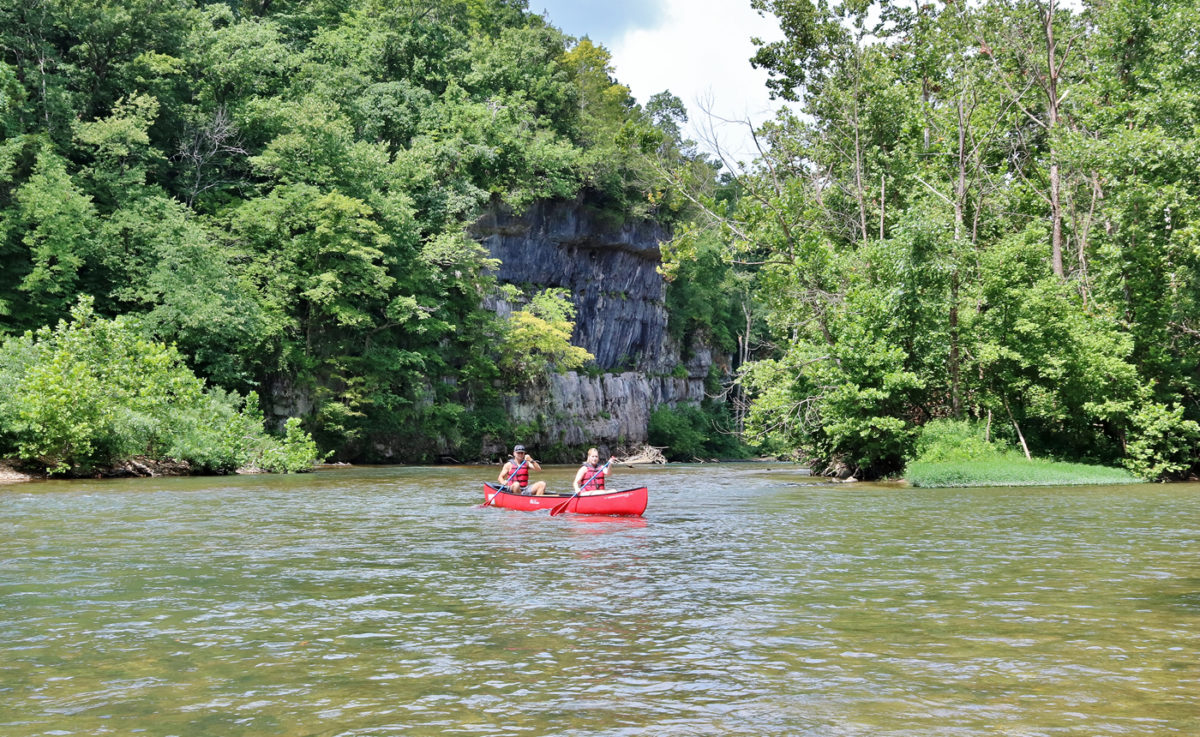 People canoeing along a river.