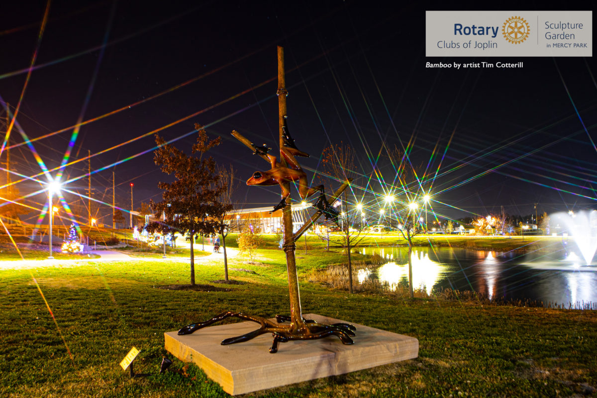 Bamboo at night in Joplin Rotary Sculpture Garden