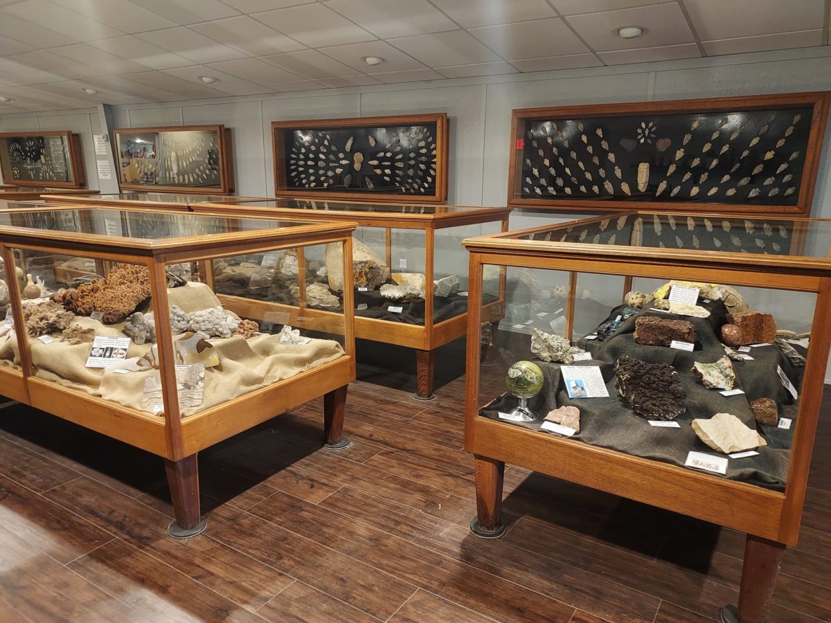 Arrowheads and artifacts displayed in cases.