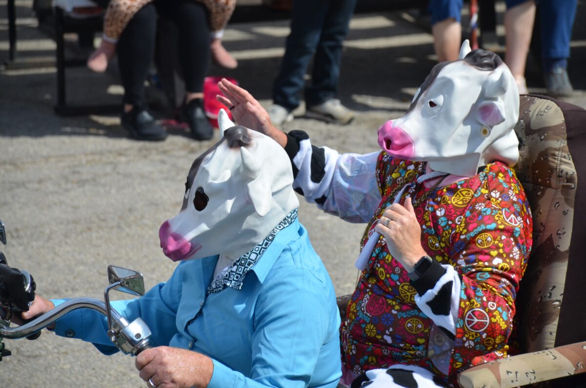 Two people dressed in colorful outfits with cow masks ride through the parade on a motorcycle during Dixon's Cow Days summer festival.