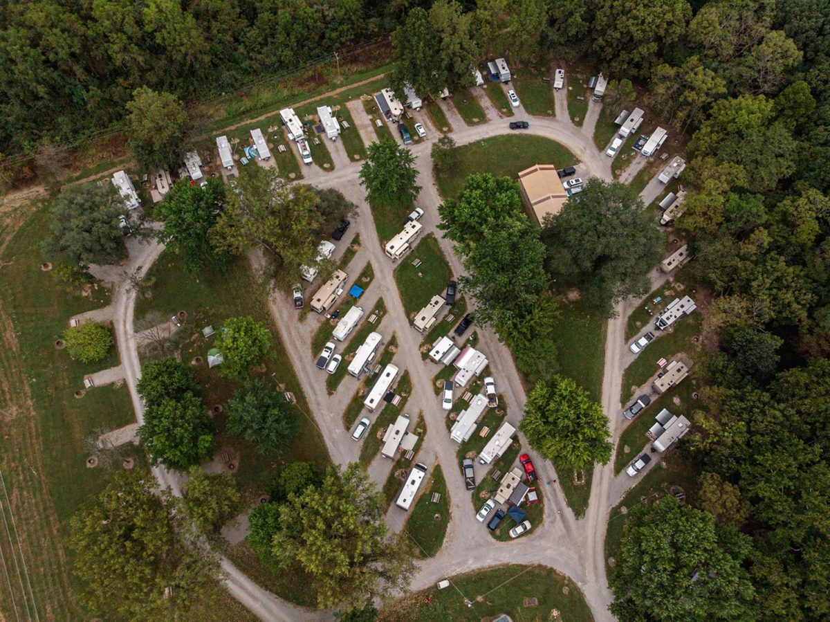 Trees and amenities in a campground.