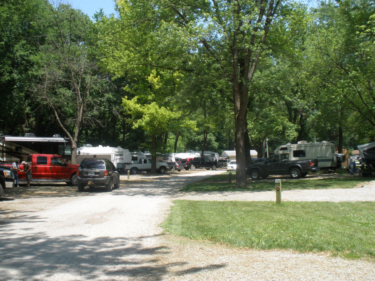 Trees and amenities in a campground full of vehicles.