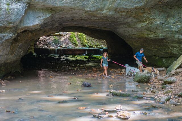 A man and a woman walk two dogs on leashes under a natural bridge at Rock Bridge Memorial State Park in Columbia.