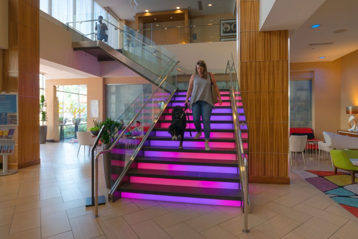 Person walks dog on leash down neon lit stairs at a boutique hotel