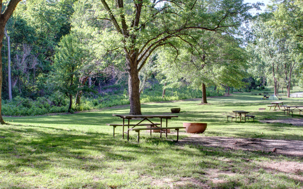 Trees and amenities in a campground.