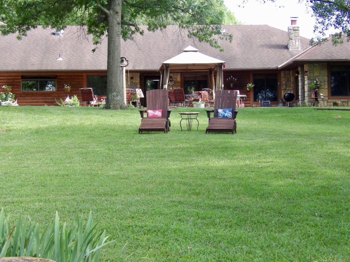 Chairs outside in a green yard.